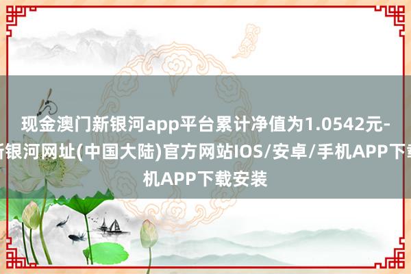 现金澳门新银河app平台累计净值为1.0542元-澳门新银河网址(中国大陆)官方网站IOS/安卓/手机APP下载安装
