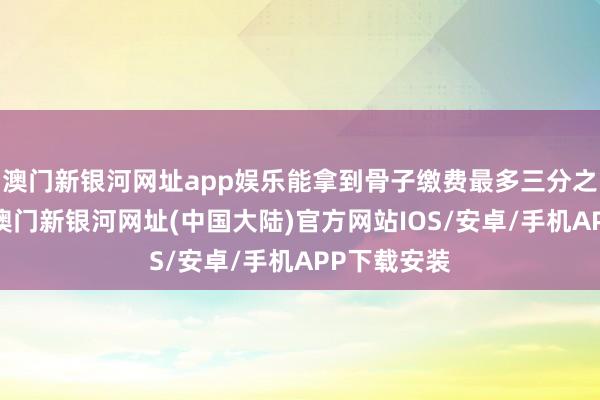 澳门新银河网址app娱乐能拿到骨子缴费最多三分之二的补贴-澳门新银河网址(中国大陆)官方网站IOS/安卓/手机APP下载安装