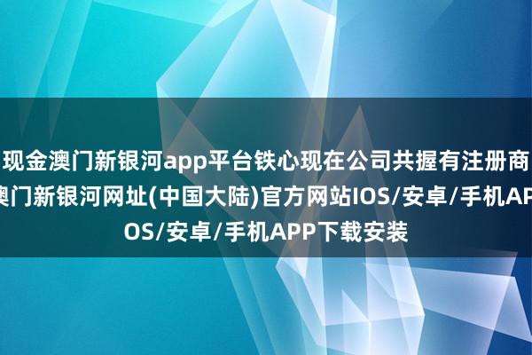 现金澳门新银河app平台铁心现在公司共握有注册商标685件-澳门新银河网址(中国大陆)官方网站IOS/安卓/手机APP下载安装