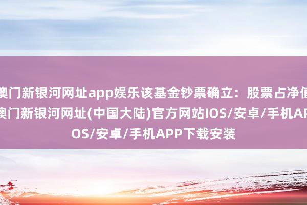 澳门新银河网址app娱乐该基金钞票确立：股票占净值比2.85%-澳门新银河网址(中国大陆)官方网站IOS/安卓/手机APP下载安装