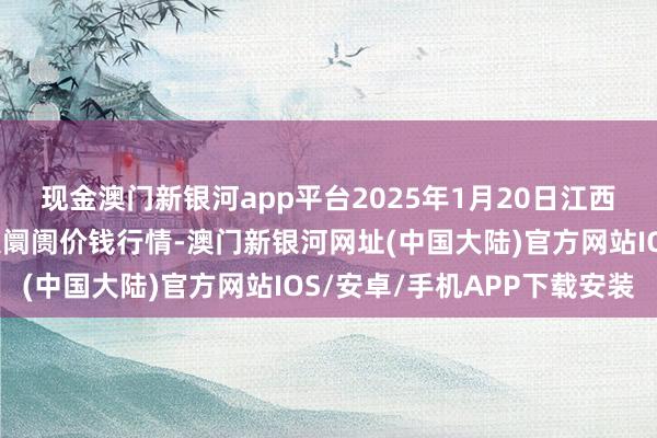 现金澳门新银河app平台2025年1月20日江西乐平蔬菜农家具批发大阛阓价钱行情-澳门新银河网址(中国大陆)官方网站IOS/安卓/手机APP下载安装