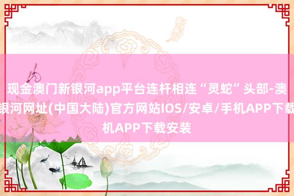 现金澳门新银河app平台连杆相连“灵蛇”头部-澳门新银河网址(中国大陆)官方网站IOS/安卓/手机APP下载安装