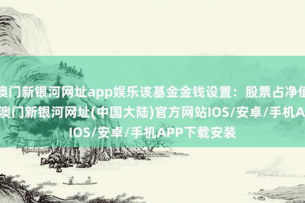 澳门新银河网址app娱乐该基金金钱设置：股票占净值比89.11%-澳门新银河网址(中国大陆)官方网站IOS/安卓/手机APP下载安装
