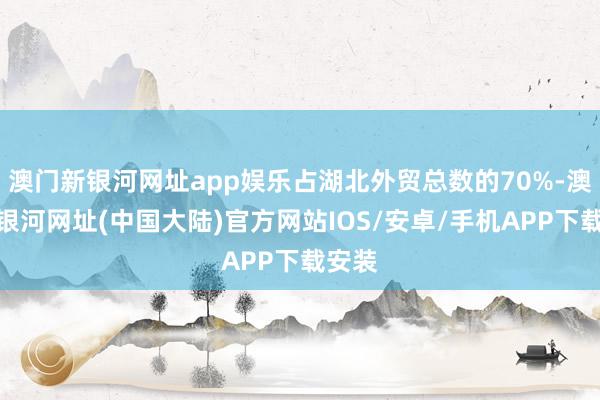 澳门新银河网址app娱乐占湖北外贸总数的70%-澳门新银河网址(中国大陆)官方网站IOS/安卓/手机APP下载安装