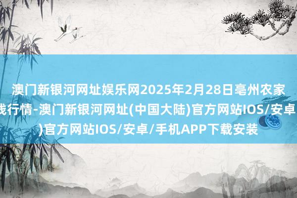 澳门新银河网址娱乐网2025年2月28日亳州农家具有限连累公司价钱行情-澳门新银河网址(中国大陆)官方网站IOS/安卓/手机APP下载安装