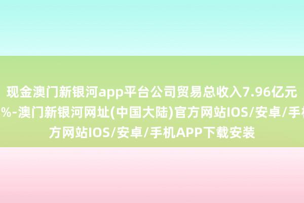 现金澳门新银河app平台公司贸易总收入7.96亿元同比下滑11.17%-澳门新银河网址(中国大陆)官方网站IOS/安卓/手机APP下载安装