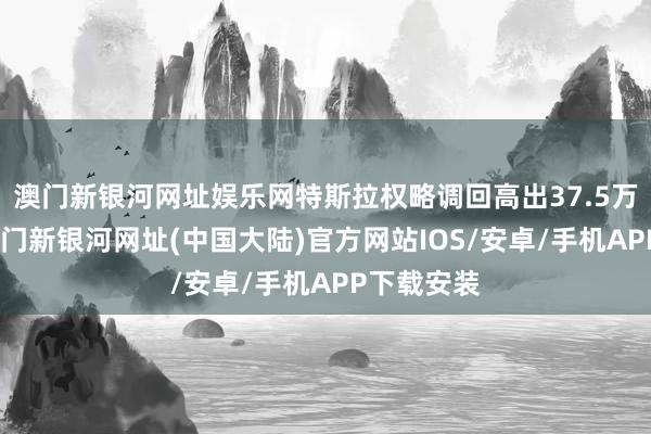 澳门新银河网址娱乐网特斯拉权略调回高出37.5万辆汽车-澳门新银河网址(中国大陆)官方网站IOS/安卓/手机APP下载安装